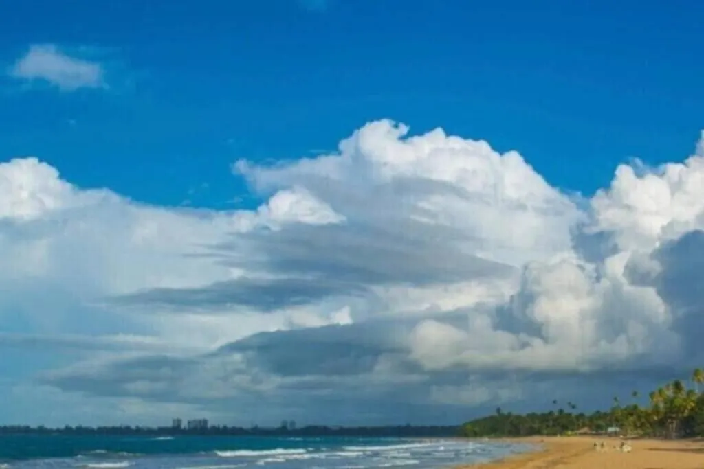 Apartment Stunning Oceanfront Villa - 8190 Carmelita